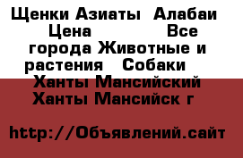 Щенки Азиаты (Алабаи) › Цена ­ 20 000 - Все города Животные и растения » Собаки   . Ханты-Мансийский,Ханты-Мансийск г.